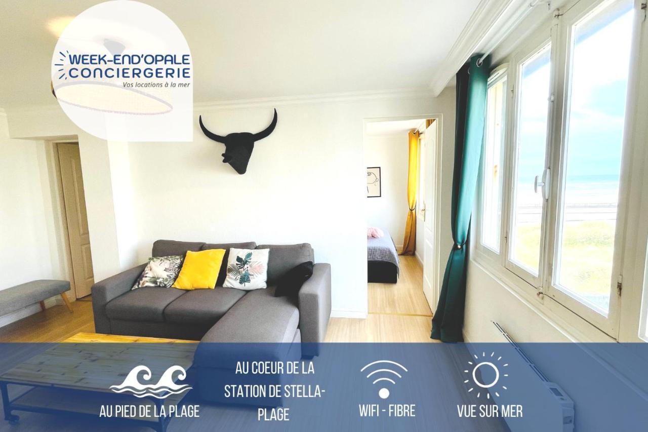 Apartment Cocoon - Face -